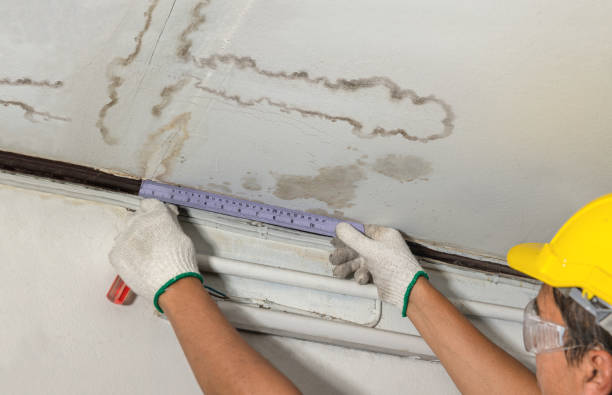 Reliable Water Damage contractor in San Mateo, CA by Water Damage Irwin